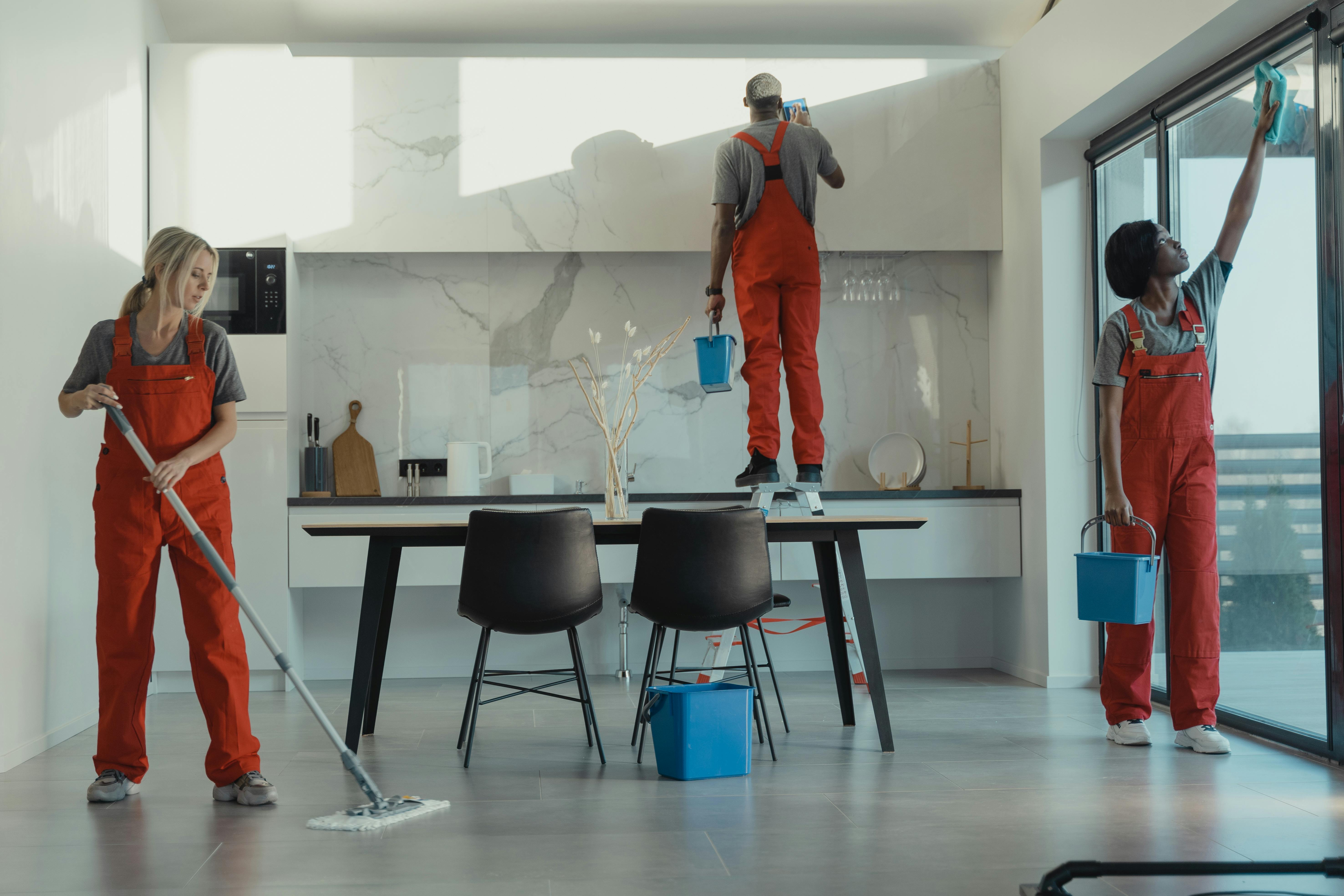 Cleaning professionals at work